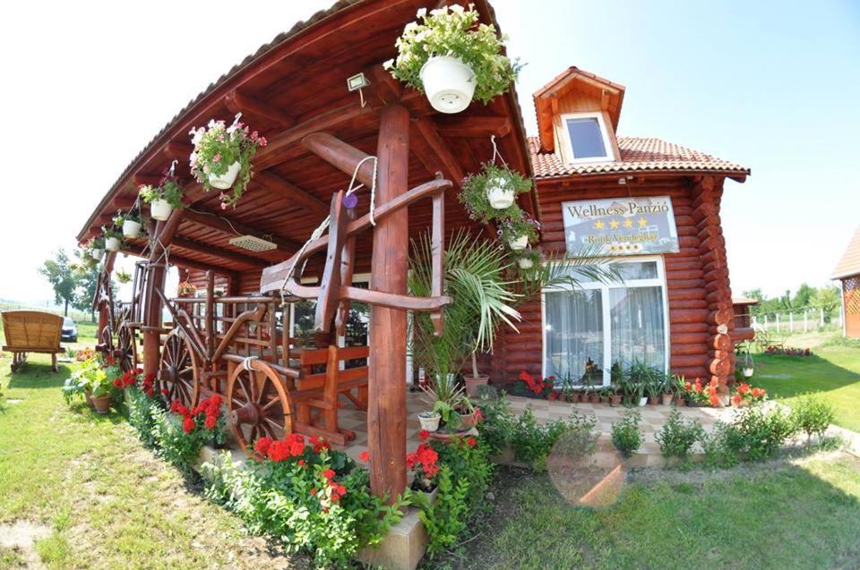 Roenk-Wellness Panzio Mezopeterd住宿加早餐旅馆 外观 照片