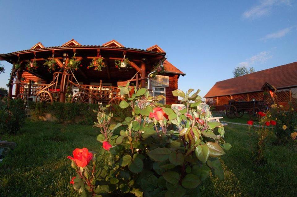 Roenk-Wellness Panzio Mezopeterd住宿加早餐旅馆 外观 照片